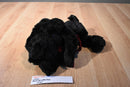 Chosun Black Floppy Dog With Maroon Bow Beanbag Plush