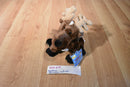 Ganz Webkinz Reindeer HM137 Beanbag Plush With Sealed Code