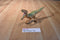 Hasbro 2105 Jurassic World Velociraptor Echo Action Figure