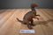 Vintage Pachycephalosaurus Dinosaur