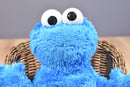 Hasbro Sesame Street Cookie Monster Squeeze A Song 2010 Plush