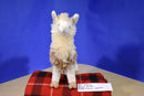 Douglas Paddy O'Llama Beanbag Plush