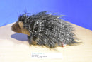Douglas Jethro Porcupine 2015 Plush