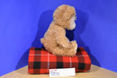 Disney Parks Duffy the Bear Plush