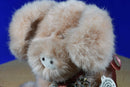 Boyd's Bears Truffles O. Pigg Pig with Blanket 1999 Beanbag Plush