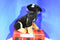 Dan Dee Collectors Choice Rottweiler Black Brown Dog Plush