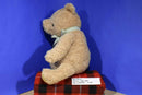 Disney Classic Winnie the Pooh Bear 2001 Plush