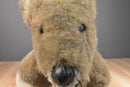 Discovery Channel Mamas and Babies Grey Kangaroo and Joey 2000 Plush
