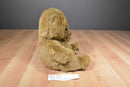 DGE Corp Brown Teddy Bear Beanbag Plush