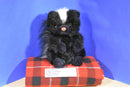 Gibson Greetings Forest Young'uns Skunk Plush