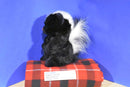 Gibson Greetings Forest Young'uns Skunk Plush