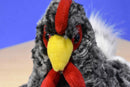 Douglas Pepper the Silver Laced Hen 2017 Plush