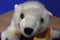 Folkmanis Polar Bear Cub Plush Puppet