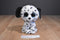 Ty Beanie Boos Fetch Dalmatian 2014 Beanbag Plush