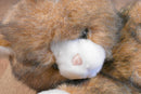 Commonwealth Nick and "Noel" Brown and White Cat 1992 Plush