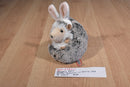 Douglas Spunky the Hedgehog With White Bunny Ears 2017 Beanbag Plush