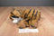 Ty Classic Bengal Tiger 1997 Beanbag Plush