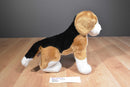 Douglas Bernie the Beagle Dog Beanbag Plush
