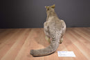 FAO Schwarz Grey Kangaroo 2013 Plush