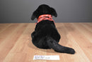 Build-A-Bear Black Lab With Red Paisley Bandana Beanbag Plush