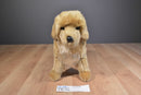 Douglas King the Golden Retriever Dog 2017 Plush