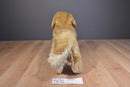 Douglas King the Golden Retriever Dog 2017 Plush