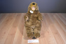 Build-A-Bear Punxsutawney Phil Woodchuck Plush