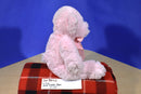 Circo Pink Teddy Bear Beanbag Plush