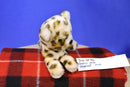 Dakin Lickety Leopard 1976 Beanbag Plush