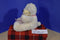 Ty Classic Caressa White Bear With Red Heart Feet 2005 Beanbag Plush