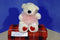 Ty Classic Caressa White Bear With Red Heart Feet 2005 Beanbag Plush