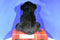 Wild Republic Black Bear 2012 Beanbag Plush