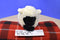 Ty Beanie Babies Woolly the White Black Faced Sheep 1995 Beanbag Plush