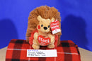 Carlton Cards Stuck On You Hedgehog Plush with Red Heart