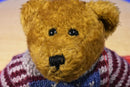 Boyd's Eddie Bean Bauer Brown Jointed Teddy Bear 1995 Beanbag Plush