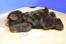 Brown Bear Plush
