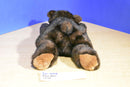 Brown Bear Plush