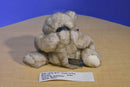 Boyd's Lead B. Bottoms Teddy Bear 2001 Beanbag Plush