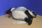 Ty Beanie Buddies and Babies Loosy Canadian Goose Beanbag Plush