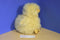 Fuzzy Yellow Duck Chick Plush