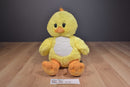 Build-A-Bear Yellow Chick 2012 Plush
