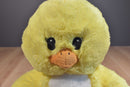 Build-A-Bear Yellow Chick 2012 Plush