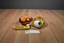 Disney Store Pixar Finding Nemo Turtle Squirt Plush
