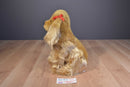 Circo Tan Cocker Spaniel Dog 2010 Plush