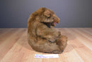 Cascade Toy Brown Bear Plush Puppet