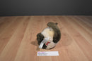 FAO Schwarz Seal Point Siamese Cat 2015 Plush