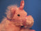 Wishpets Erin the Pink Unicorn Horse 2005 Beanbag Plush