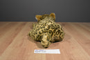 Discovery Channel Leopard 2001 Plush