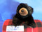 Ty Classic Baby Paws Black Bear 1995 Beanbag Plush