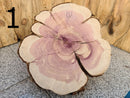 Live Edge Aromatic Red Cedar (